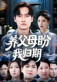 养父母盼我归期(全集)