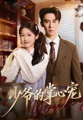 少爷的掌心宠(全集)