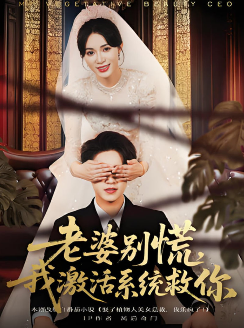 老婆别慌，我激活系统救你(全集)