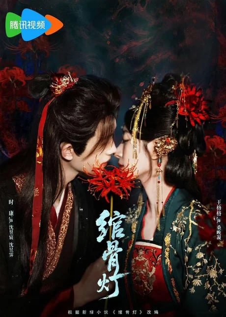 绾骨灯(全集)