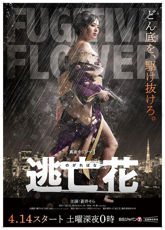 逃亡花 第09集