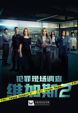 犯罪现场调查：维加斯第二季 第17集
