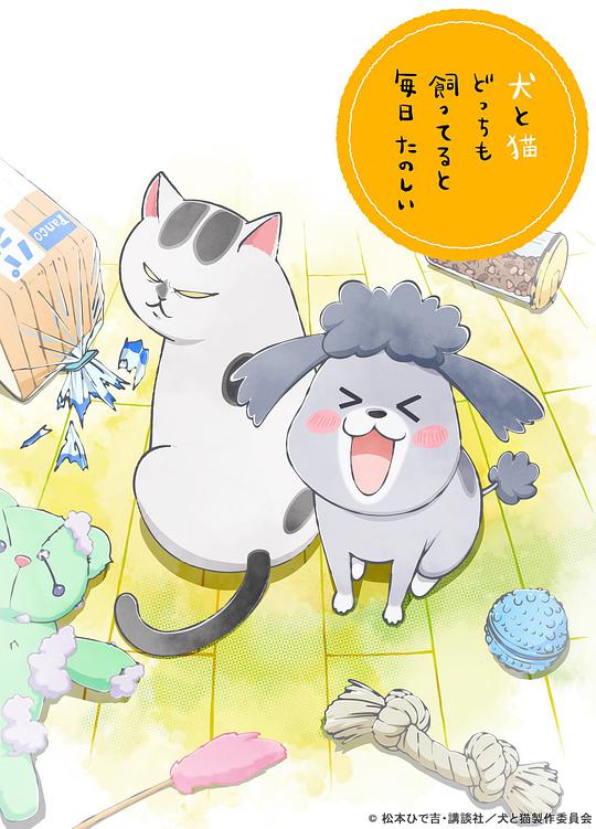 养狗与猫每天都很开心 第01集