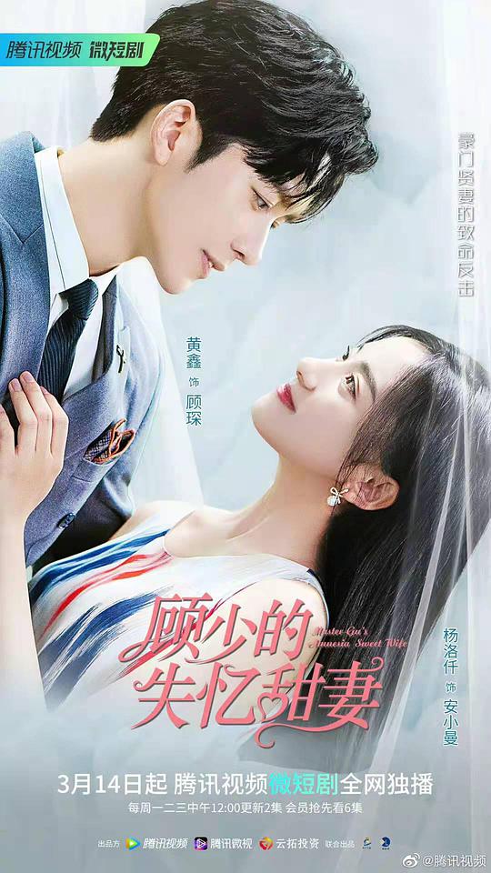 顾少的失忆甜妻 第17集