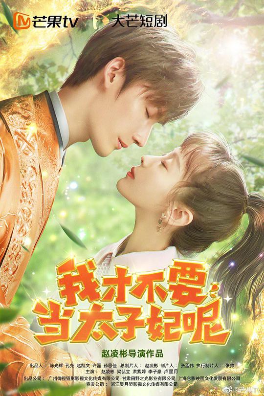 我才不要当太子妃呢 第15集