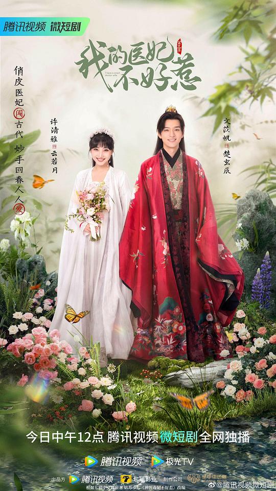 我的医妃不好惹第三季 第12集