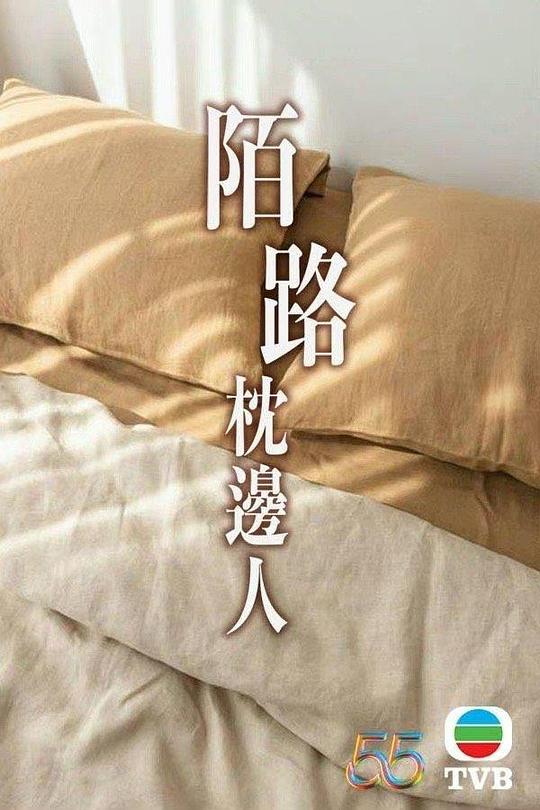 再见枕边人国语 第16集