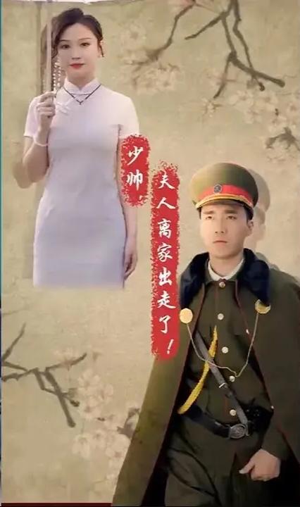 少帅，夫人离家出走了 全集(大结局)
