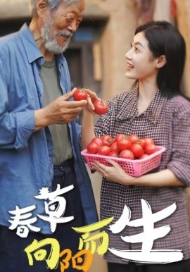 春草向阳而生 第04集